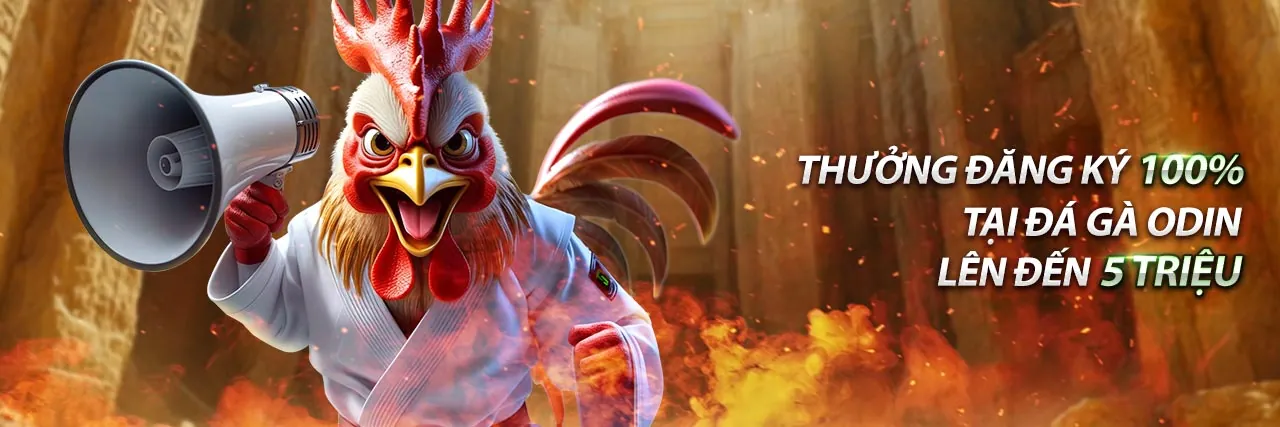 Ứng dụng keo sbobet trên điện thoại