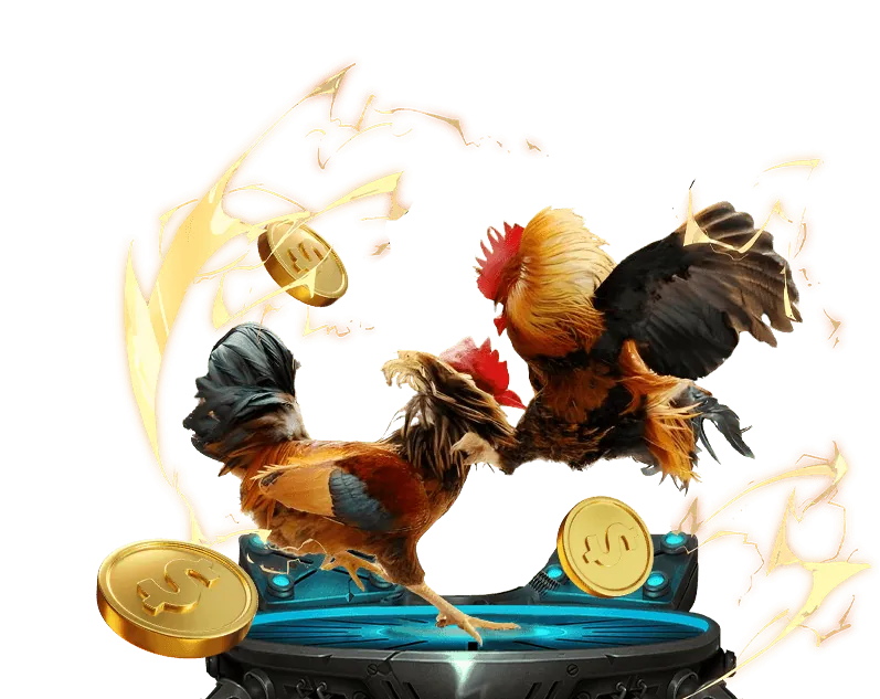 Hình ảnh minh họa cookie của bên thứ nhất do website kiểm soát trực tiếp